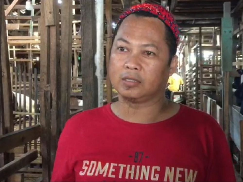 Pedagang kambing di Banjarmasin, Kalimantan Selatan.