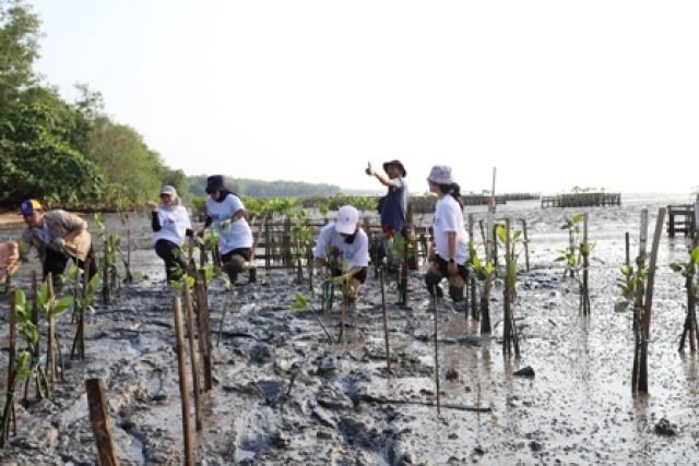 Pelindo Lakukan Penyulaman 20 Ribu Bibit Mangrove di Bangkalan