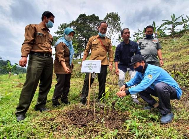 DPRD dan Perhutani Tanam Pohon Cegah Banjir