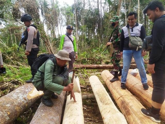 KLHK, TNI, Polri Gerebek Pembalakan Liar di Jambi