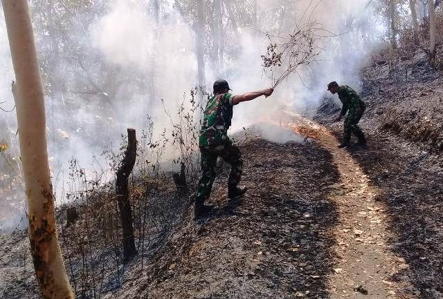 Hutan Karangpatihan Terbakar