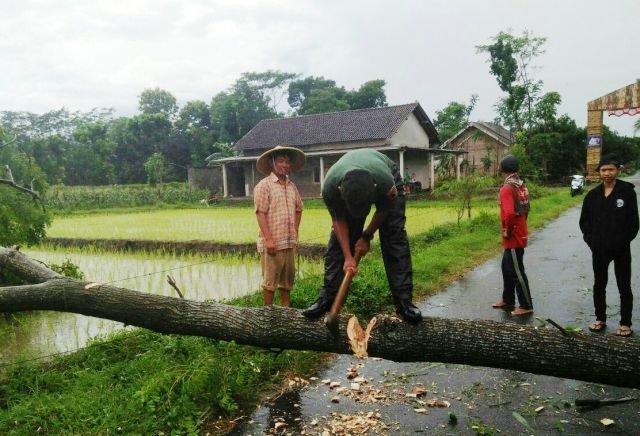 Warga Krenceng Kediri Meninggal Akibat Angin Puting Beliung