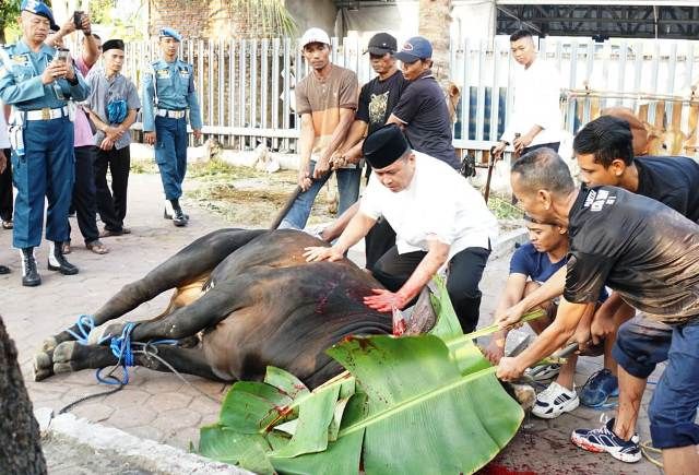 Danlantamal V Berikan Simbolis 42 Hewan Qurban