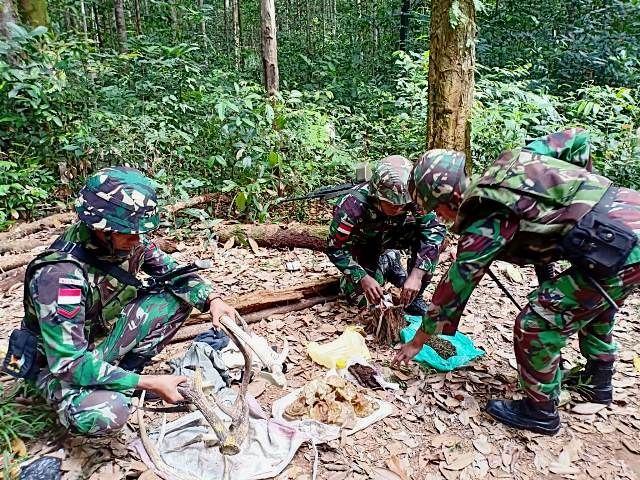 Satgas Pamtas Papua Temukan Ganja & Tanduk Rusa